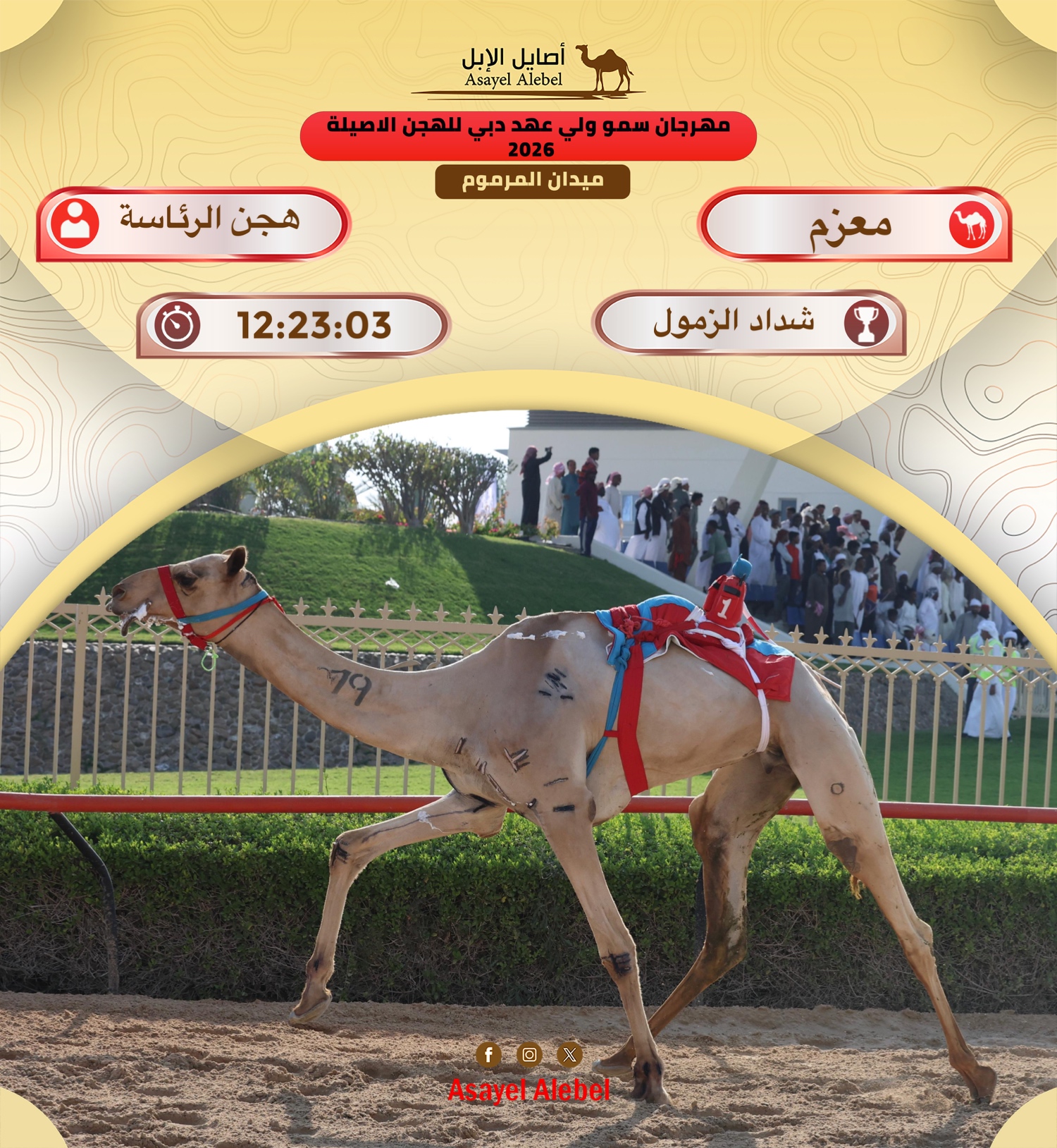 هجن الرئاسة والشحانية تهيمنان على رموز الحول والزمول في مهرجان سمو ولي عهد دبي للهجن 2026