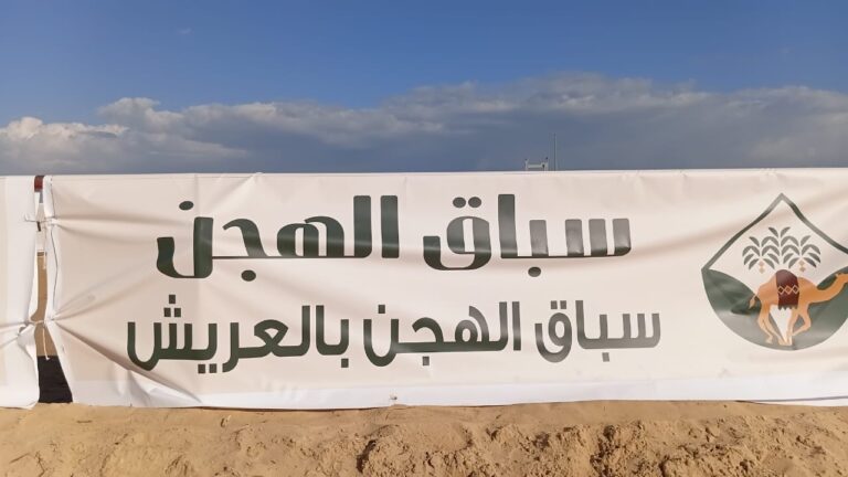 ميدان العريش للهجن… سباقات تراثية  مصرية أصيلة تعيد الروح لرياضة الآجداد في سيناء