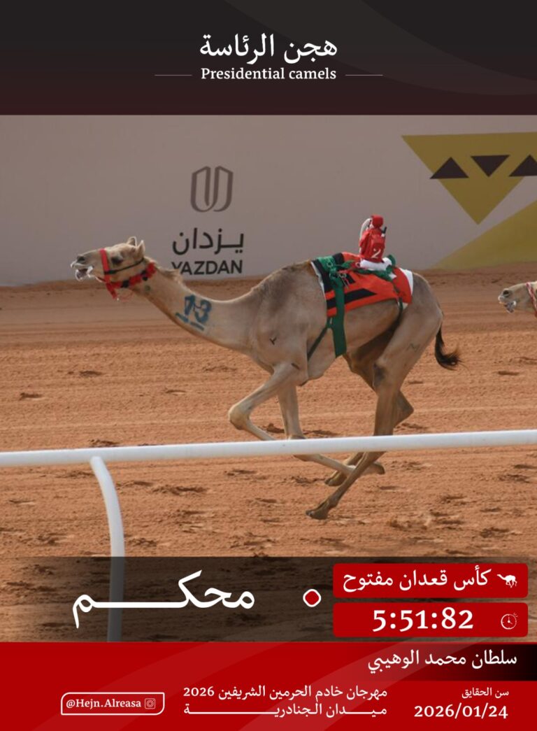 هجن الرئاسة تحصد رمزالحقايق في الجنادرية