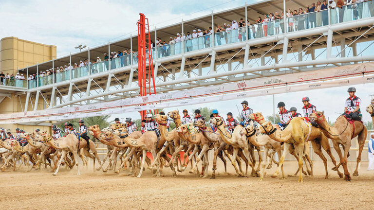 66 متسابقاً يختتمون ماراثون اليوم الوطني للهجن في المرموم ضمن مهرجان ولي عهد دبي .. صور