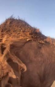 وبر الإبل.. حرير الصحراء الذي نسج حياة البدو واقتصادهم عبر الأزمنة