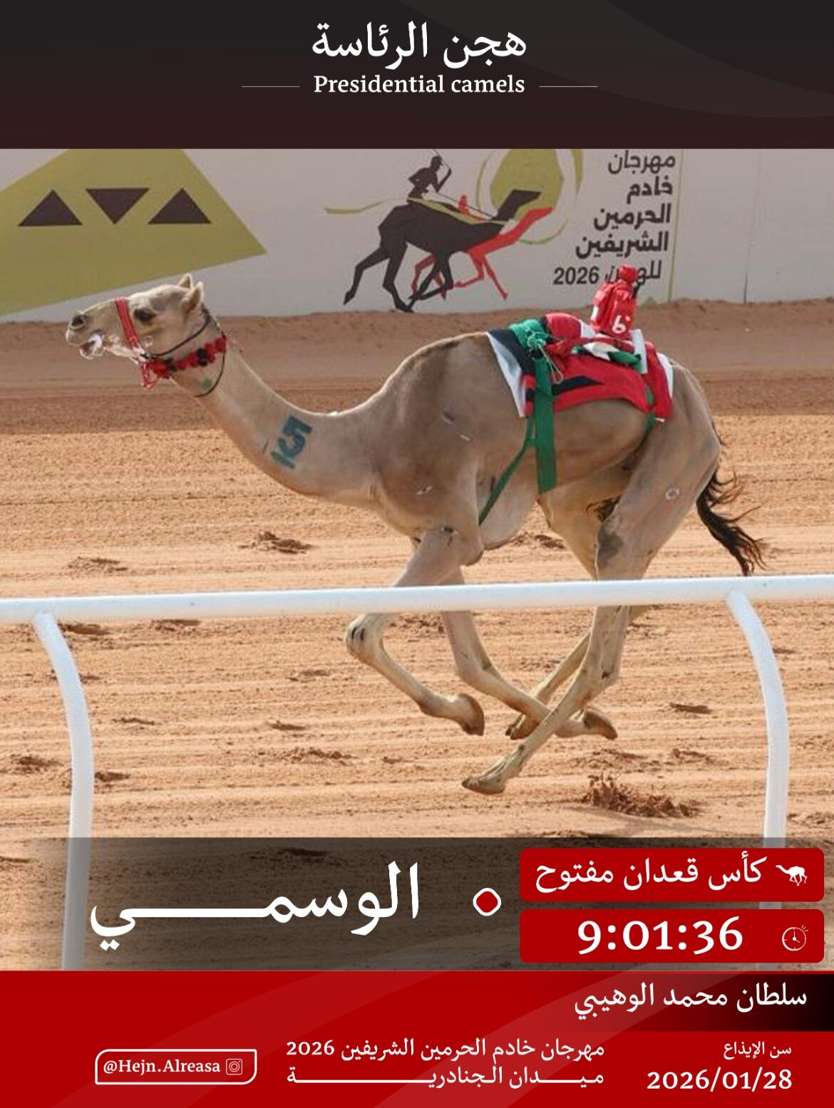 رموز الجنادرية مناصفة بين الهجن الإماراتية والقطرية