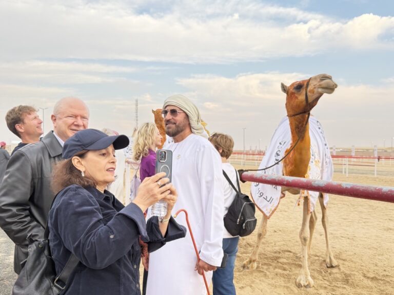 منصة الظفرة تجمع العالم.. زوار من القارات الخمس ينبهرون بسحر مزاينات الإبل