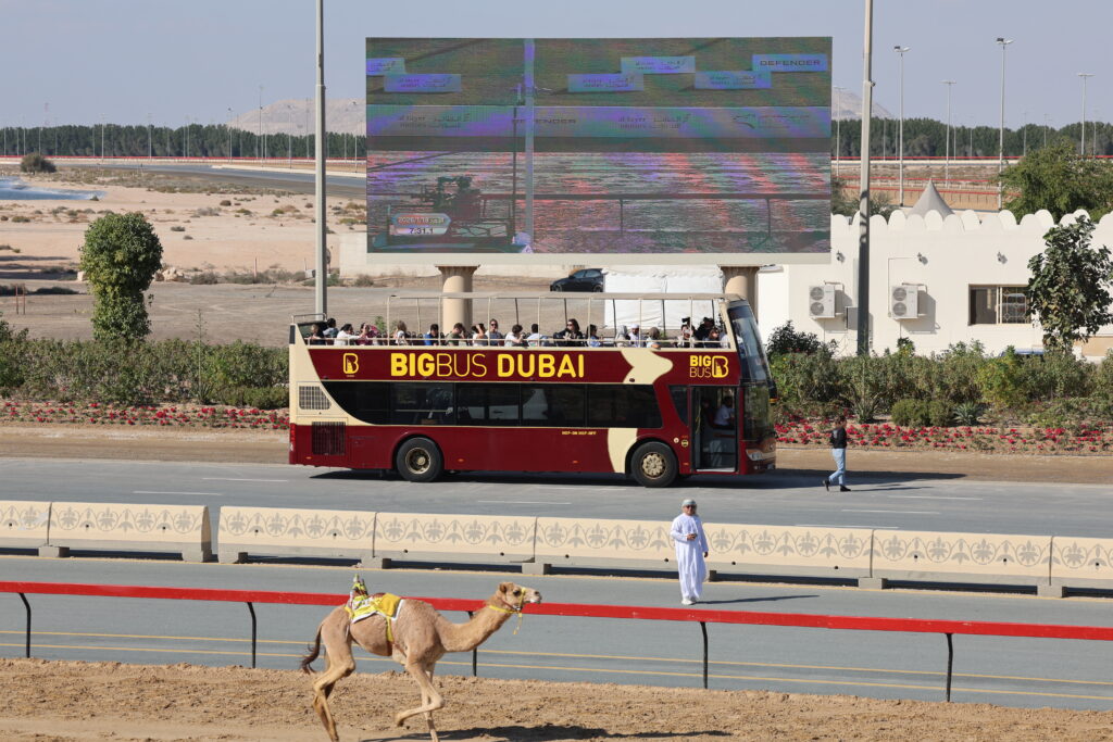 حين تجتمع لغات العالم على رمال المرموم… سياح يعايشون سباقات الهجن في مهرجان سمو ولي عهد دبي 2026