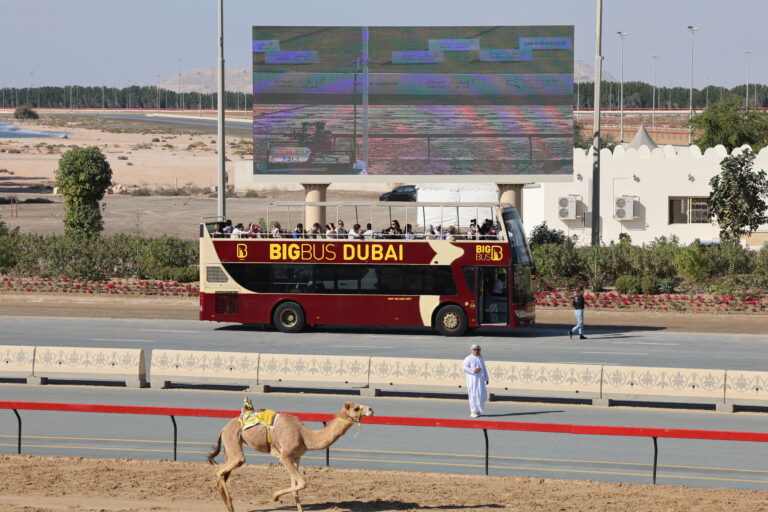حين تجتمع لغات العالم على رمال المرموم… سياح يعايشون سباقات الهجن في مهرجان سمو ولي عهد دبي 2026