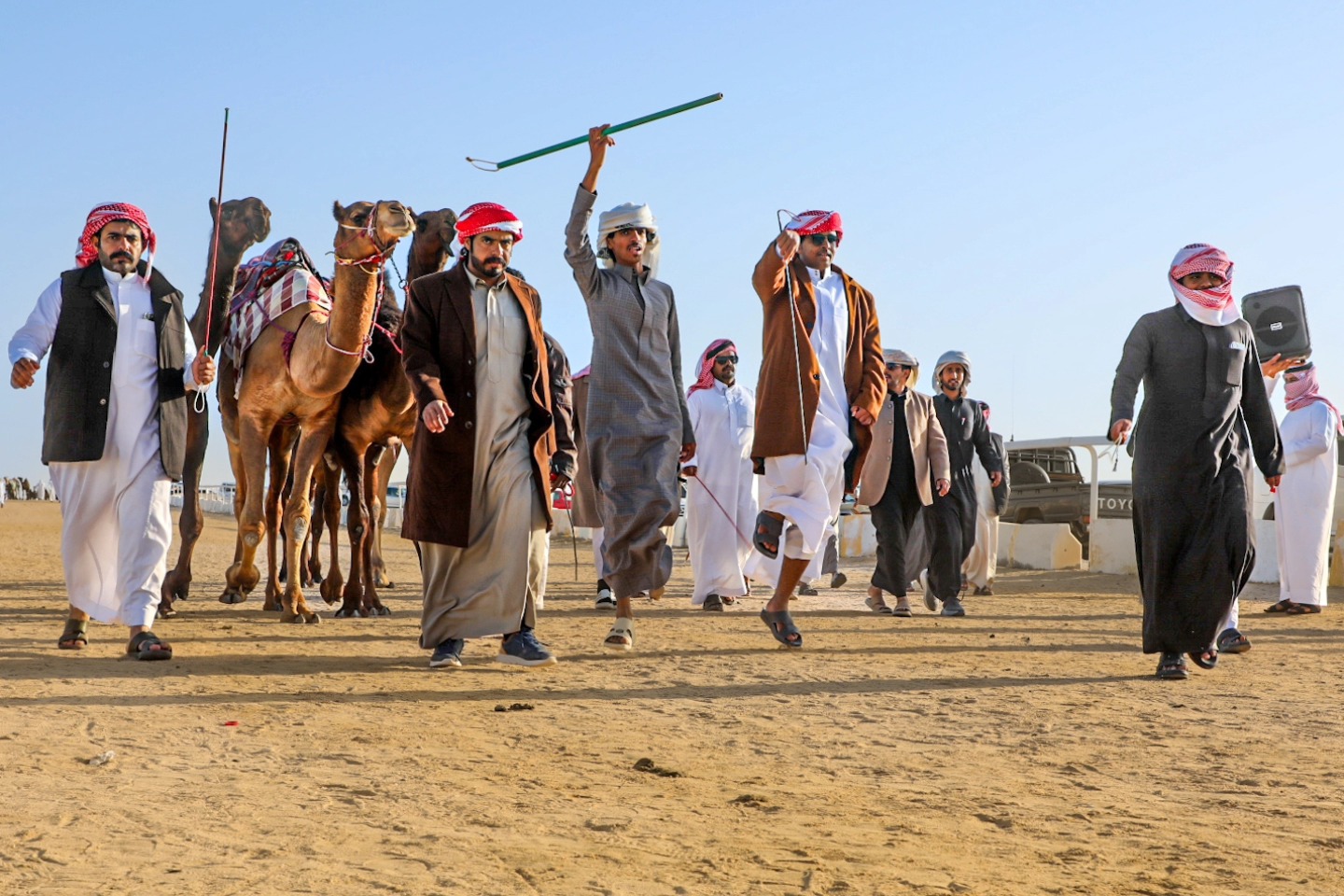حين تتباهى الإبل بجمالها… المجاهيم تنسج فصول المجد في مهرجان قطر للإبل