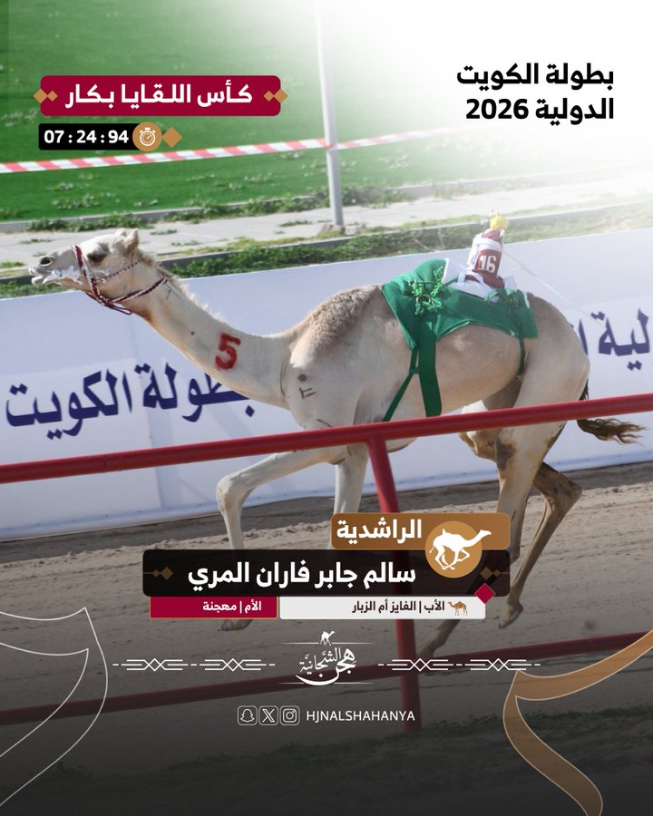 هجن الشيحانية تحرز الكأس الذهبية للقايا البكار في بطولة الكويت الدولية