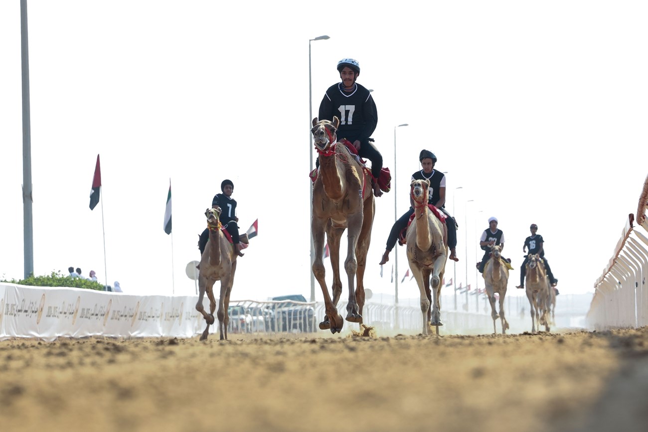 اتحاد الهجن يعلن فتح باب التسجيل للمشاركة في سباق الماسترز «أبوظبي 2026»