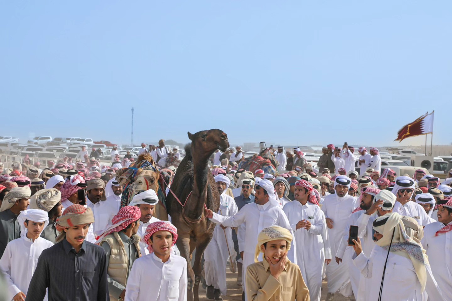  لوحات من التميز والإثارة  “جزيلات العطا”.. ملحمة  متنوعة من الأصالة والإثارة على ميدان لبصير بقطر