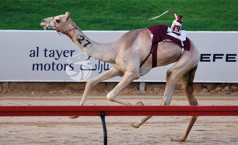 (جمرة) الشحانية تشعل أول رموز أصحاب السمو الشيوخ في ختامي المرموم 2026