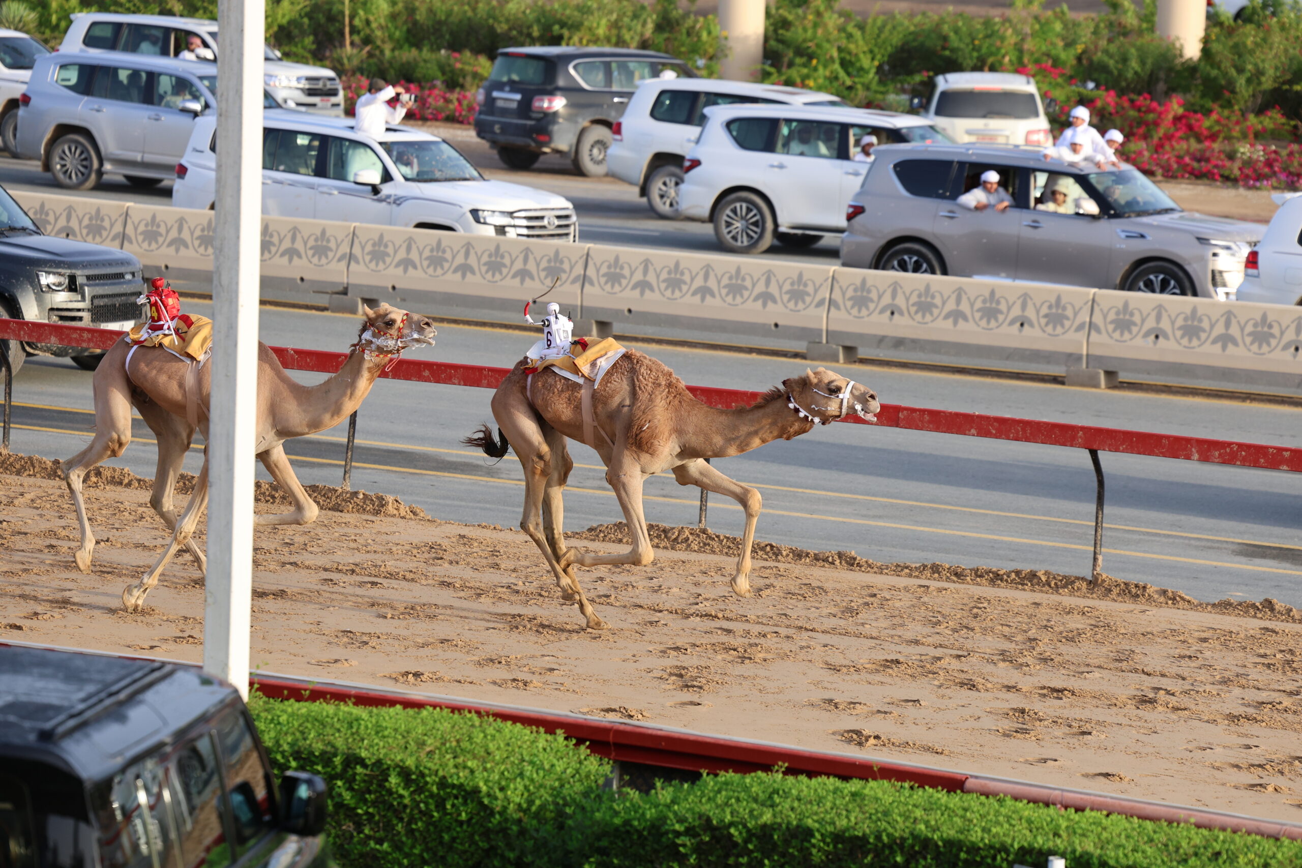بشاير والدرع وزهره والياه ووعد وصيفيان أبطال رموز الإيذاع في ختامي المرموم 2026