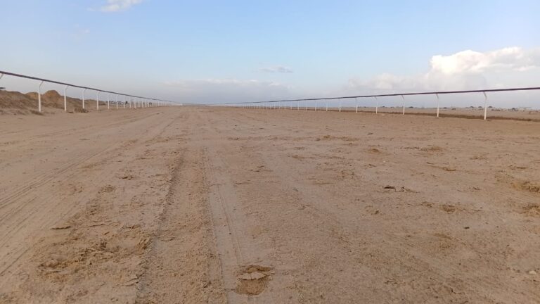 من الميادين التقليدية إلى المضامير الحديثة… سباقات الهجن في مصر تستعيد مجدها