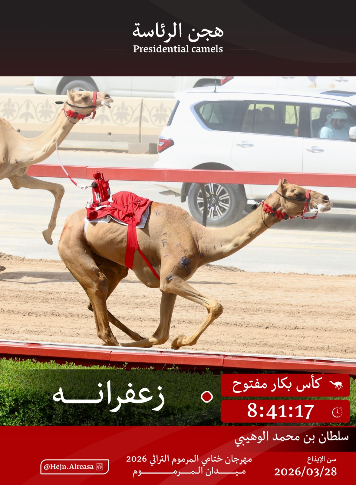 هجن الرئاسة تكتسح رموز الإيذاع وتُحكم قبضتها على كؤوس وبنادق المرموم 2026